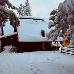 Planinski Sapat Blidinje